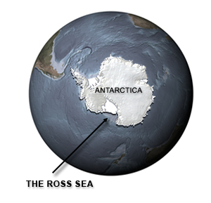 Ross Sea, Southern Ocean, Ross Barrier, glacier, Ross Ice Shelf, Antarctica